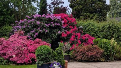 Veranstaltung GehZeit: Besuch und Führung im Botanischen Garten Rombergpark am 20. Mai 2026
